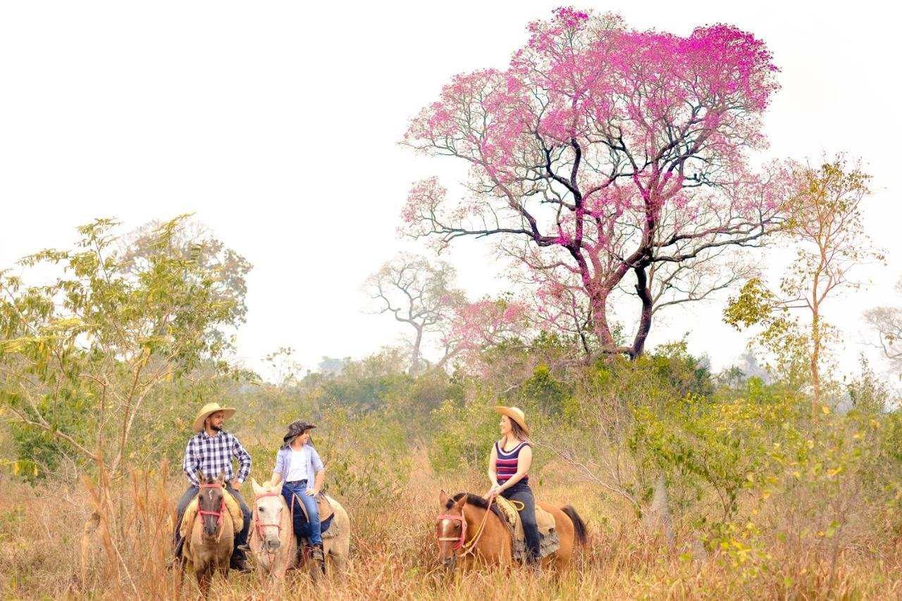 Poconé Hotel Pantanal Mato Grosso מראה חיצוני תמונה